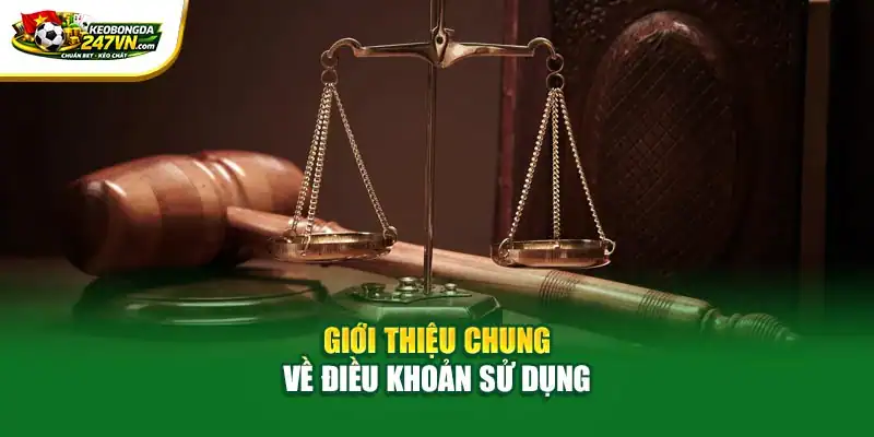 Giới thiệu chung về điều khoản sử dụng