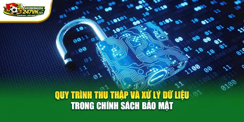 Quy trình thu thập và xử lý dữ liệu trong chính sách bảo mật